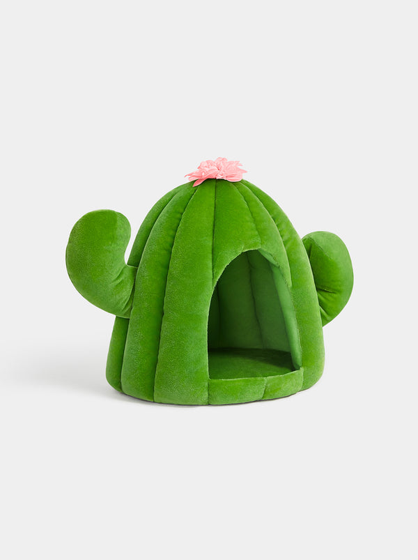 Oasis Cactus Pet Bed - TANK TINKER
