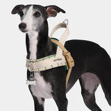 Santal Forest Quick Fit Pet Harness & Leash Set - TANK TINKER