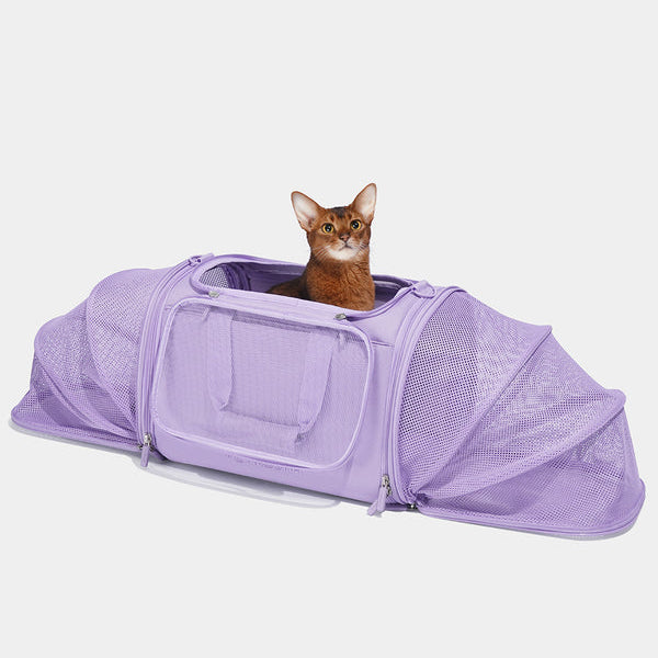 Violet Voyage Pet Carrier - TANK TINKER