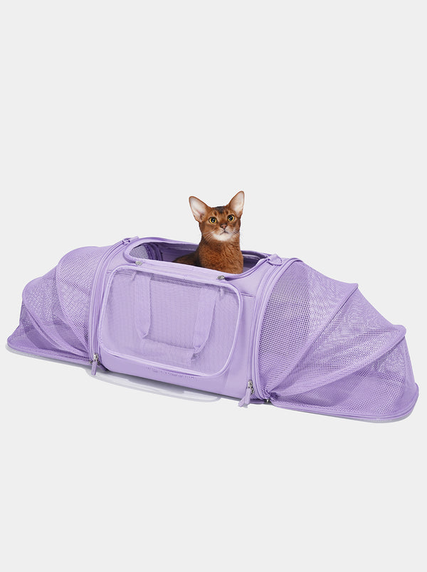 Violet Voyage Pet Carrier - TANK TINKER