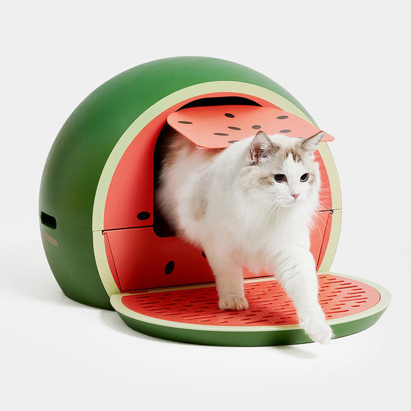 Watermelon Kitty Kove - TANK TINKER