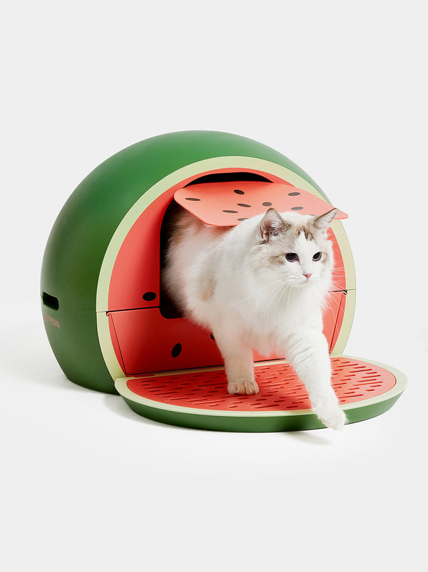 Watermelon Kitty Kove - TANK TINKER