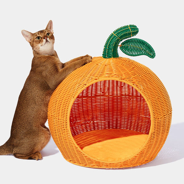 Tangerine Rattan Pet Bed - TANK TINKER