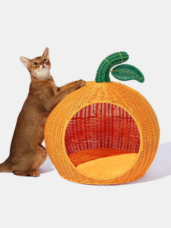 Tangerine Rattan Pet Bed - TANK TINKER