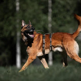 Line harness long WD - TANK TINKER