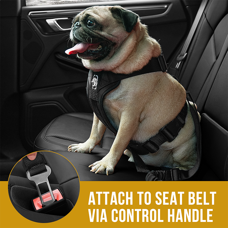 Shark tank sales dog car harness
