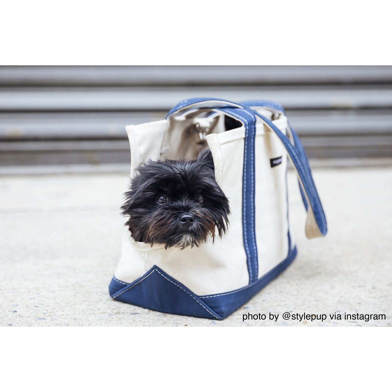 Boat Canvas Carrier - Classic - TANK TINKER