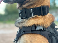 BCH Big Dog Collar Heavy Duty - TANK TINKER