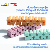 ขนมขัดฟันสำหรับสุนัข Morning Kissess Dental Gum (แบบกล่องบรรจุ 50ชิ้นต่อกล่อง)