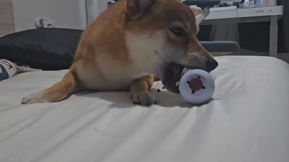 Dango - Nose work toy for dogs