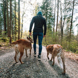 Rock adjustable leash - TANK TINKER