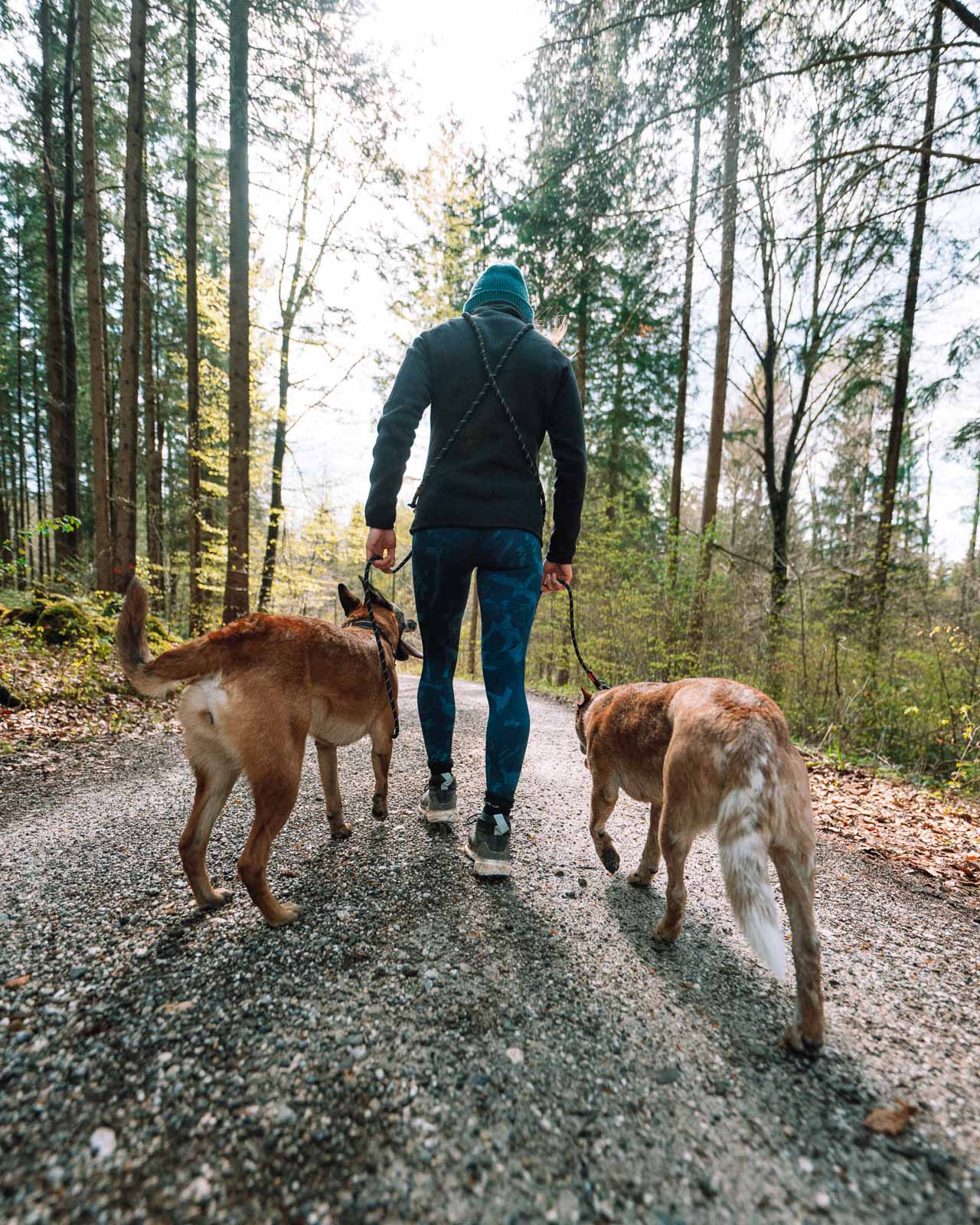 Rock adjustable leash - TANK TINKER