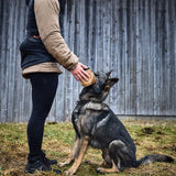 Solid adjustable collar WD - TANK TINKER