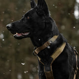 Solid adjustable collar WD - TANK TINKER