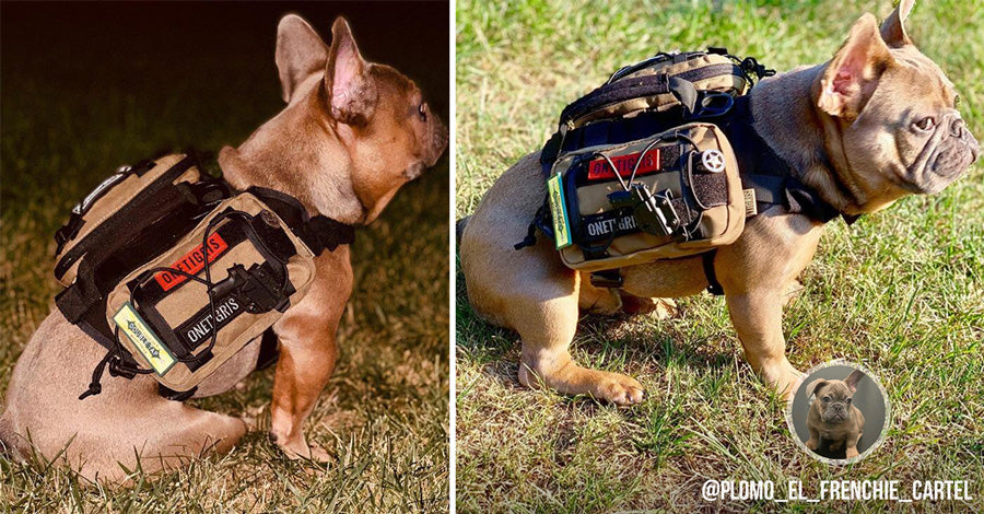 CANINE EDC POUCH - TANK TINKER