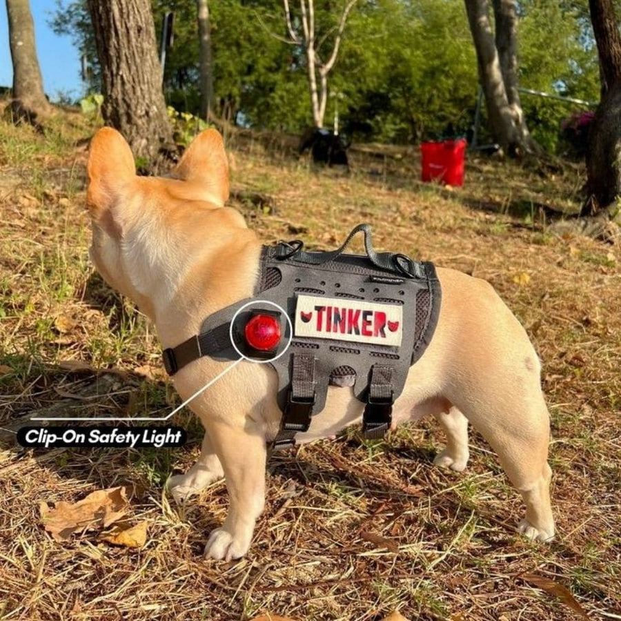 ไฟติดชุด สำหรับเดินกลางคืน SF1 Clip-On Safety Light – TANK TINKER